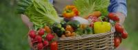 panier de legumes
