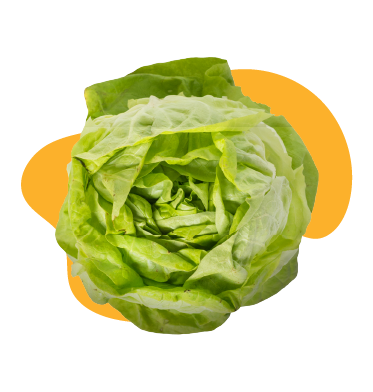 legume