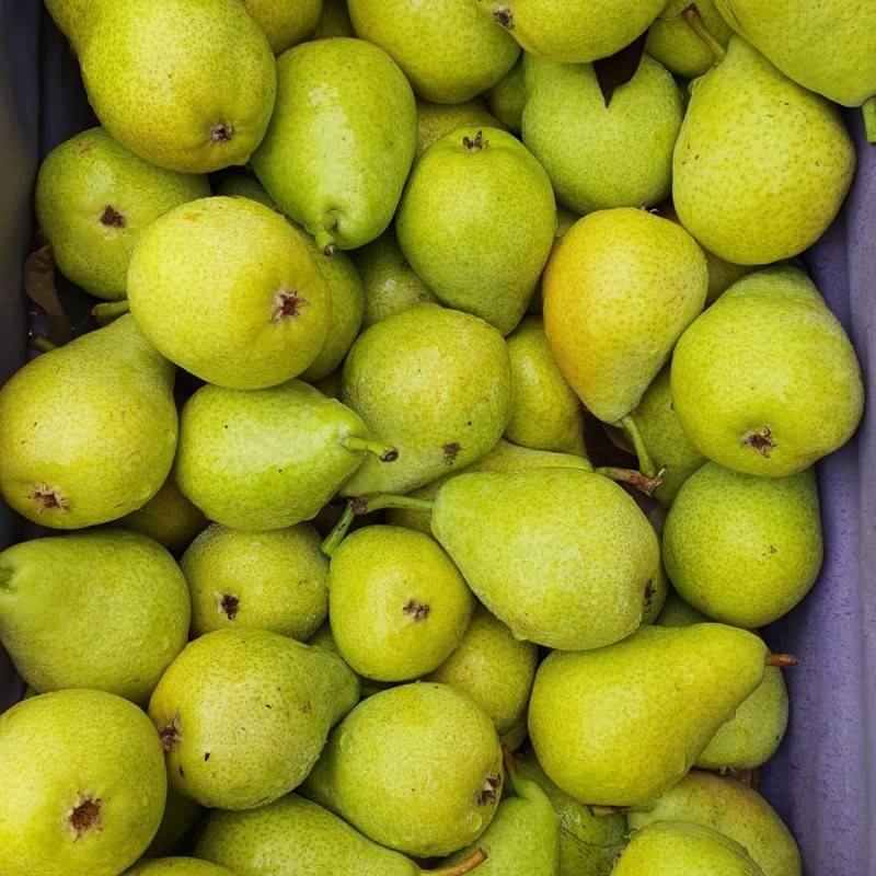 Poires 1kg