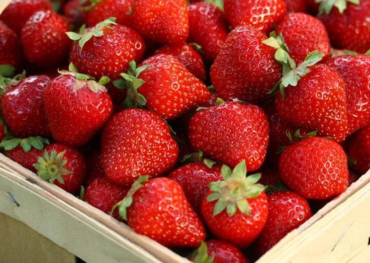 Fraises 500g